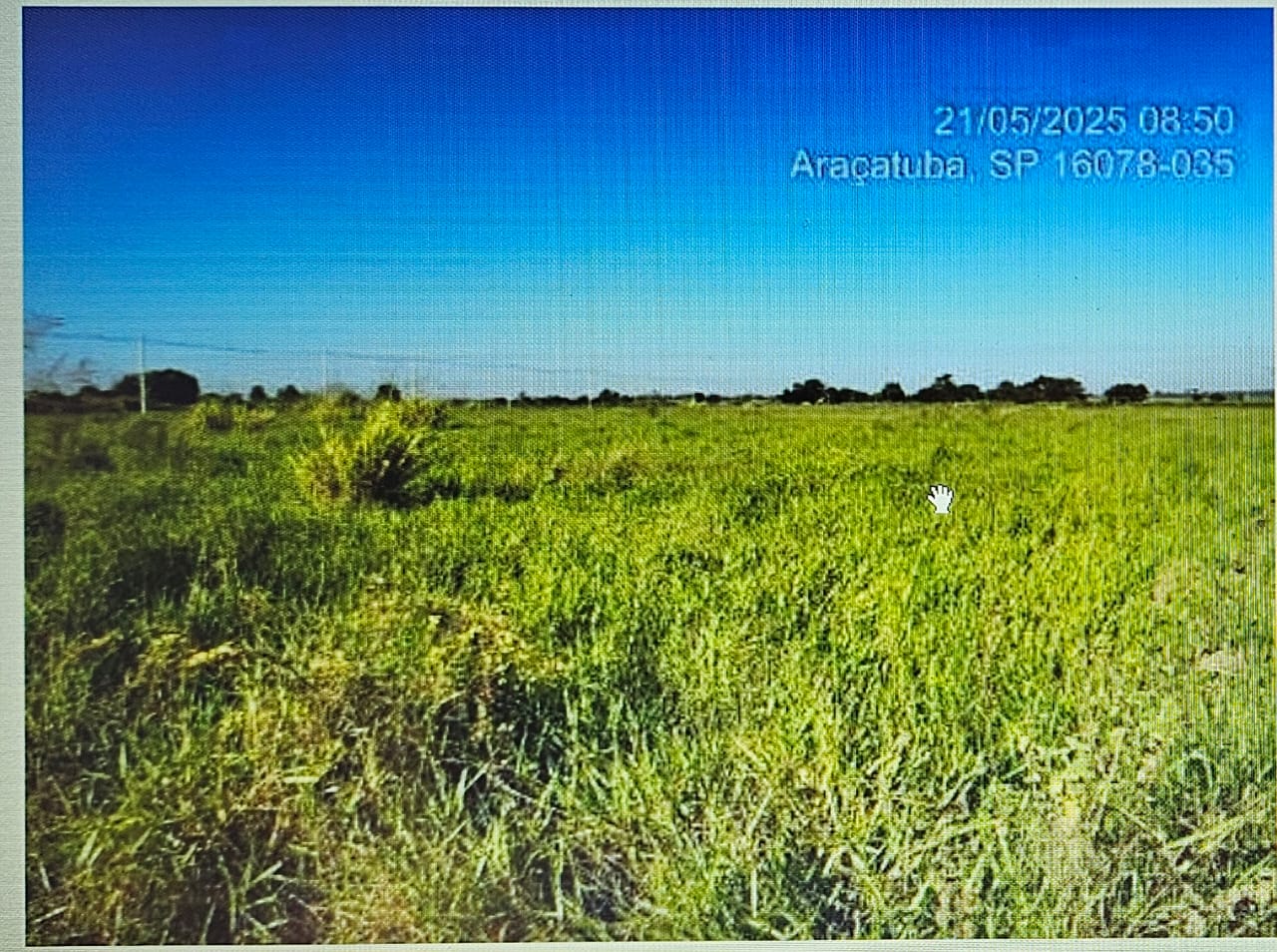 FAZENDA BELA VISTA